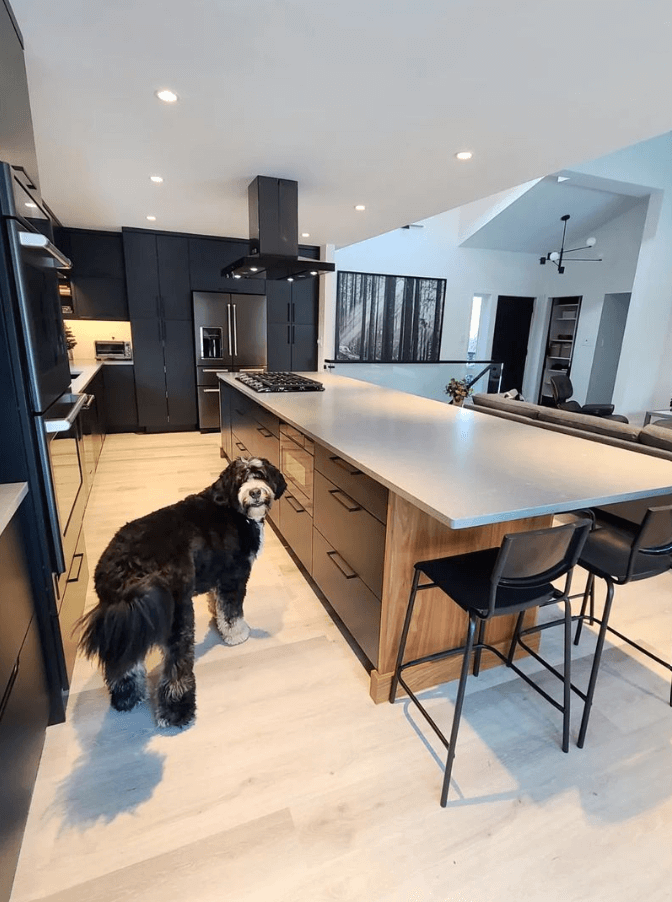 A photo of a dog in a modern slab kitchen designed and installed by Sutcliffe Kitchens.